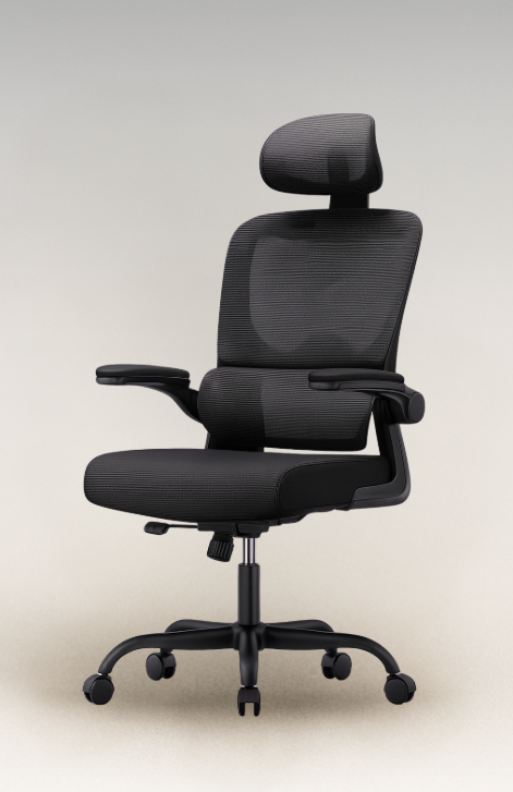 Chaise de Bureau Ergonomique - Soutien Lombaires - appui-tête
