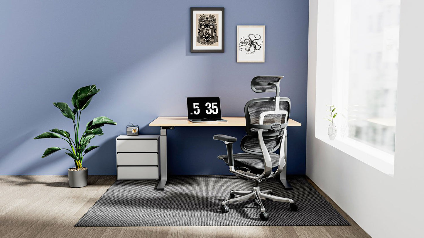 Fauteuil de Bureau Ergonomique - Soutien Lombaire - Idéal Professionnel