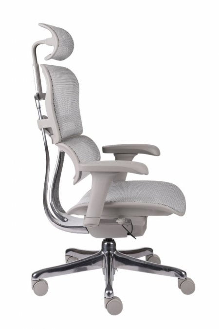 Chaise de Bureau Ergonomique - Soutien Lombaire - Idéal Professionnel / Gaming