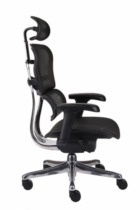 Chaise de Bureau Ergonomique - Soutien Lombaire - Idéal Professionnel / Gaming