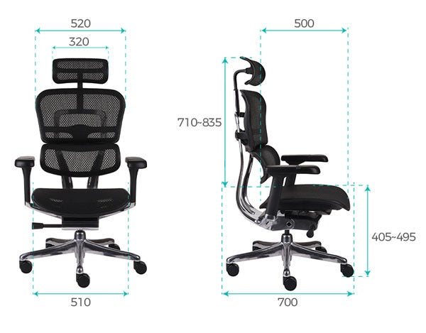 Chaise de Bureau Ergonomique - Soutien Lombaire - Idéal Professionnel / Gaming