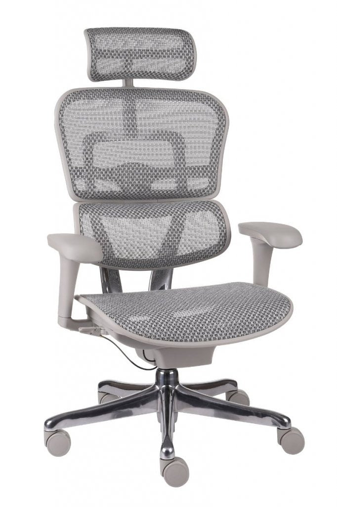 Chaise de Bureau Ergonomique - Soutien Lombaire - Idéal Professionnel / Gaming