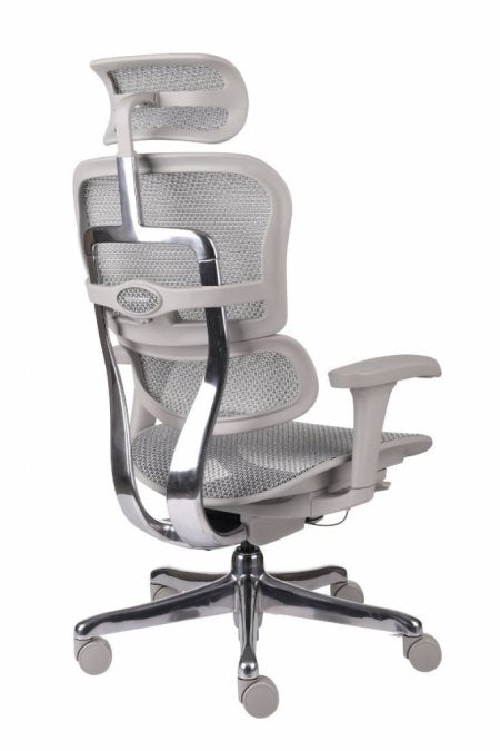 Chaise de Bureau Ergonomique - Soutien Lombaire - Idéal Professionnel / Gaming