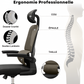 Chaise de Bureau Ergonomique - Soutien Lombaires - appui-tête