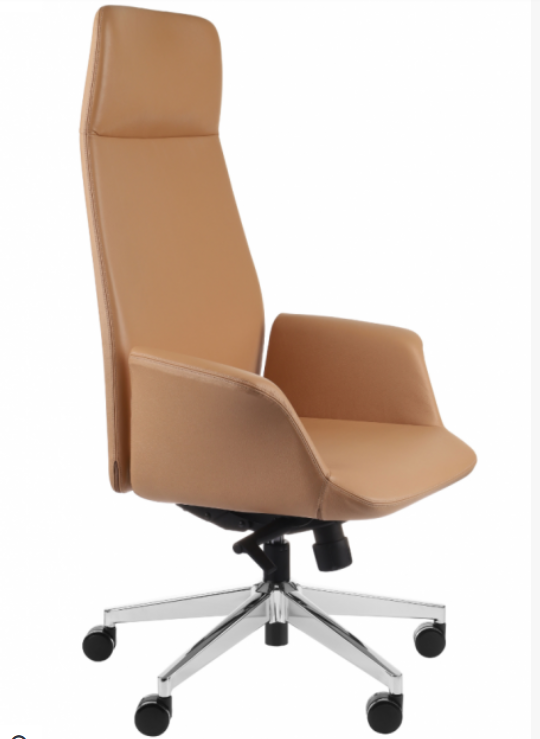 Fauteuil de Bureau Ergonomique Premium "Preto" en Cuir / Idéal Direction