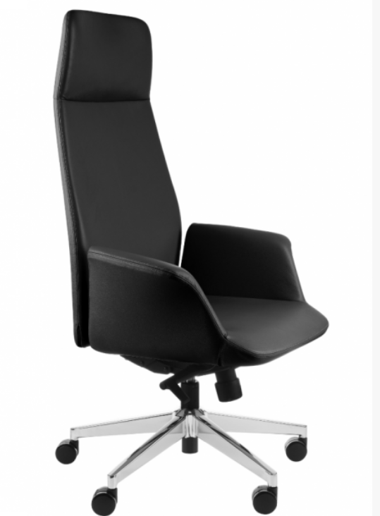 Fauteuil de Bureau Ergonomique Premium "Preto" en Cuir / Idéal Direction