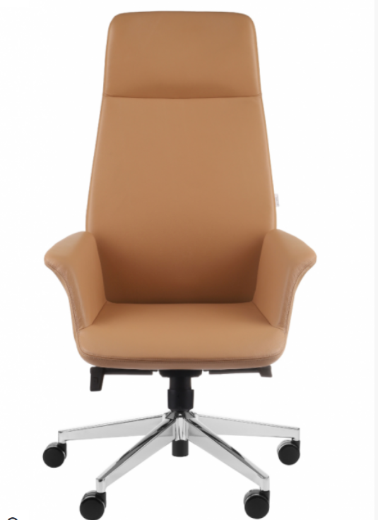 Fauteuil de Bureau Ergonomique Premium "Preto" en Cuir / Idéal Direction