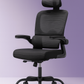 Chaise de Bureau Ergonomique - Soutien Lombaires - appui-tête