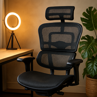 Chaise de Bureau Ergonomique Ergohuman gen 2 – Confort Longues Heures & Soutien Professionnel 1