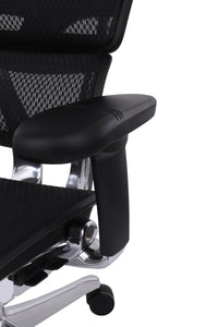 Chaise de Bureau Ergohuman Elite Gen2– Fauteuil Ergonomique de Référence pour Professionnels Exigeants 10
