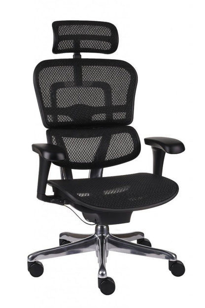 Chaise de Bureau Ergonomique - Soutien Lombaire - Idéal Professionnel / Gaming