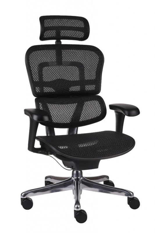 Chaise de Bureau Ergonomique - Soutien Lombaire - Idéal Professionnel / Gaming